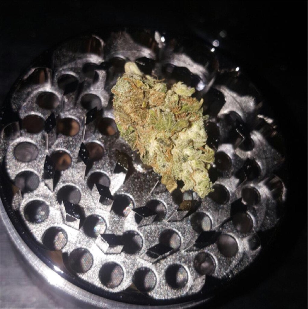 Rocklock marijuana strain flower with lavender and sweet flavor and creative / hungry effects - Rare Harvest indica
