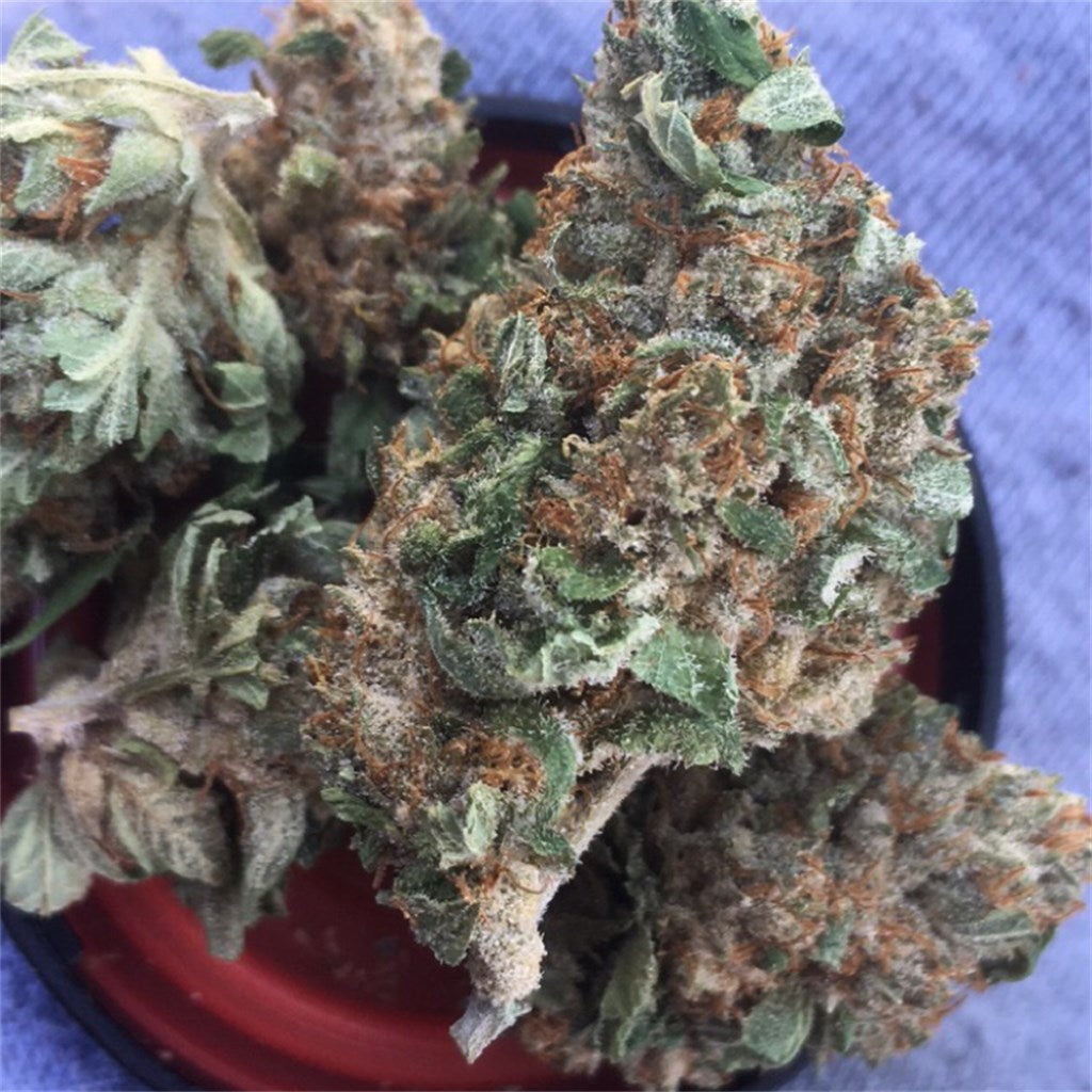 Rockstar marijuana strain flower with spicy/herbal and skunk flavor and sleepy / relaxed effects - Rare Harvest indica