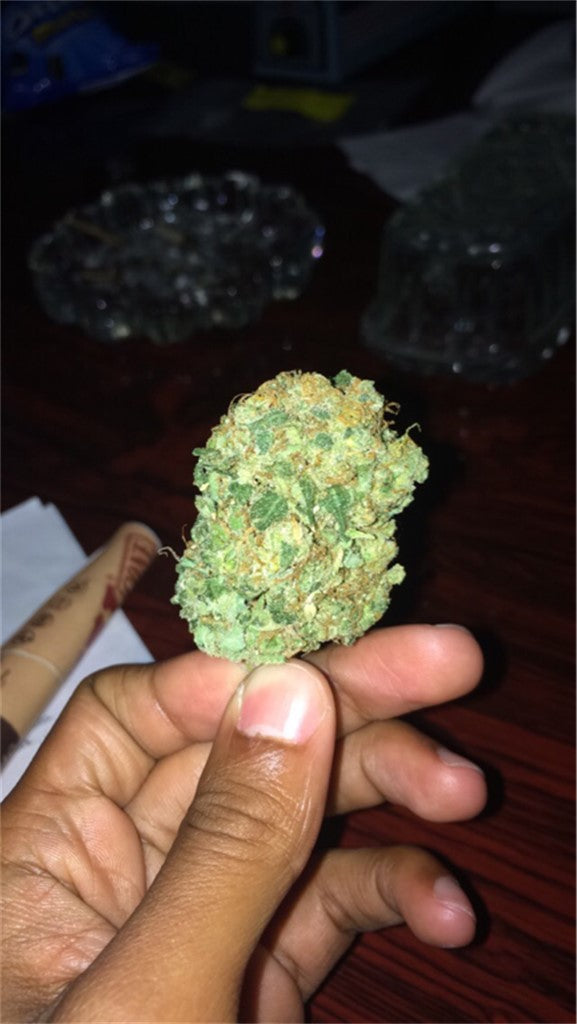 Rocky Mountain High marijuana strain flower with cheese and skunk flavor and creative / euphoric effects - Rare Harvest hybrid