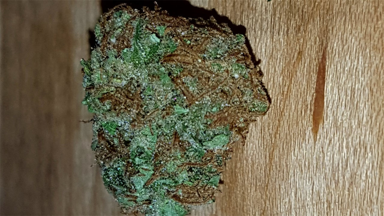 Rollex OG Kush marijuana strain flower with cheese and pine flavor and relaxed / hungry effects - Rare Harvest indica