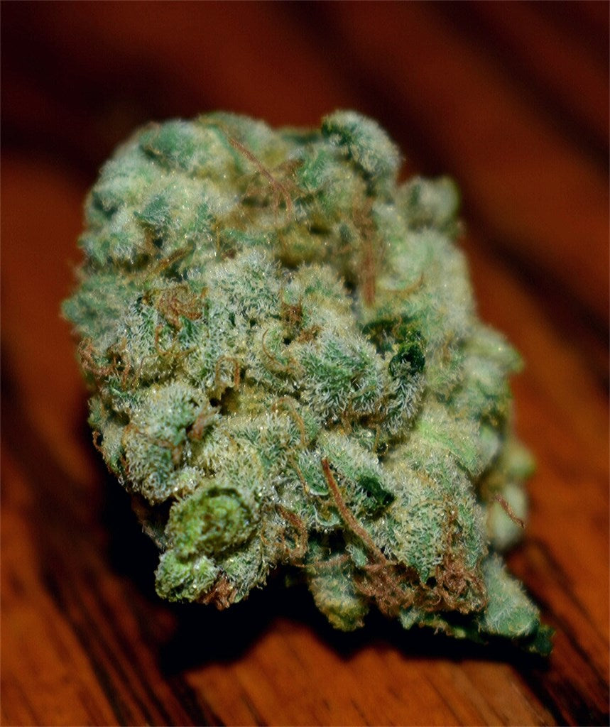 Rolls Choice marijuana strain flower with diesel and chemical flavor and euphoric / tingly effects - Rare Harvest hybrid