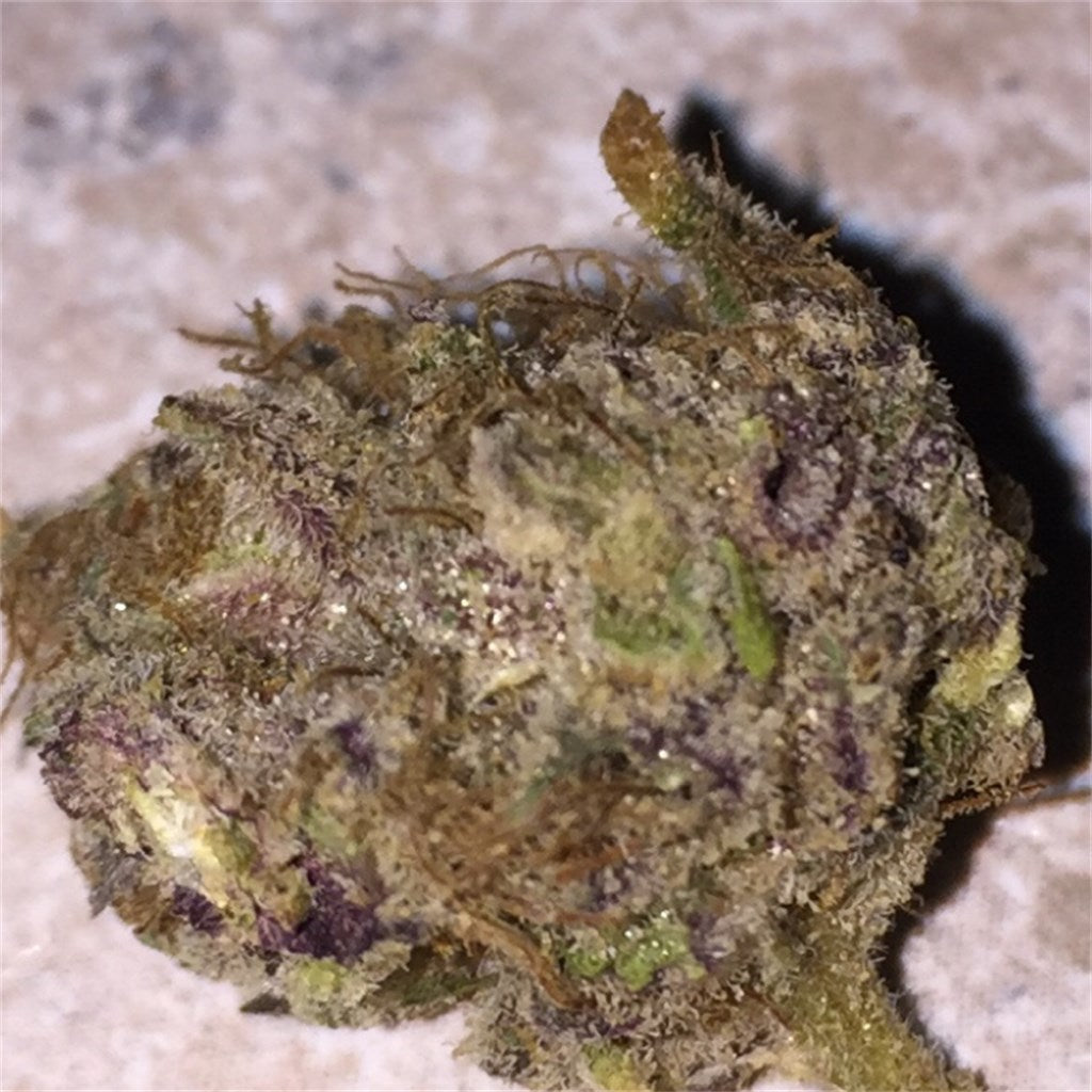 Romulan Grapefruit marijuana strain flower with grapefruit and tropical flavor and relaxed / euphoric effects - Rare Harvest hybrid