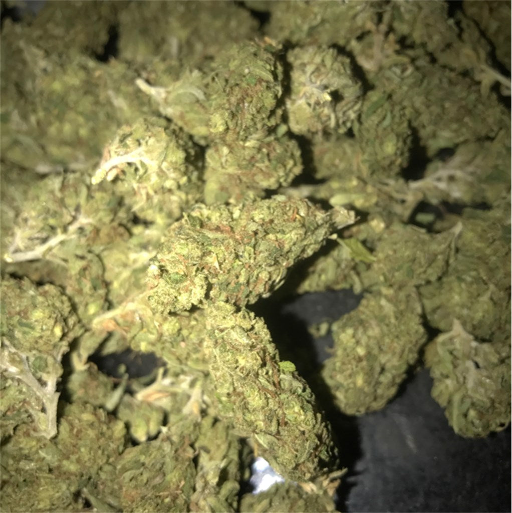 Rose Bud marijuana strain flower with rose and flowery flavor and creative / talkative effects - Rare Harvest indica