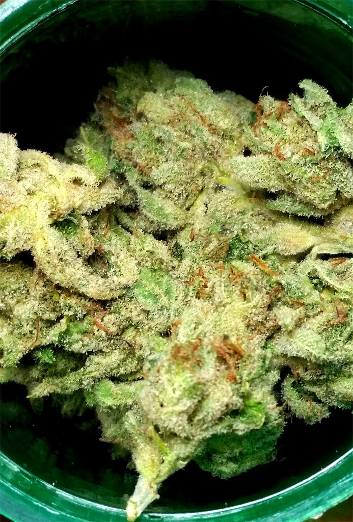 Russian Assassin marijuana strain flower with diesel and skunk flavor and euphoric / energetic effects - Rare Harvest indica