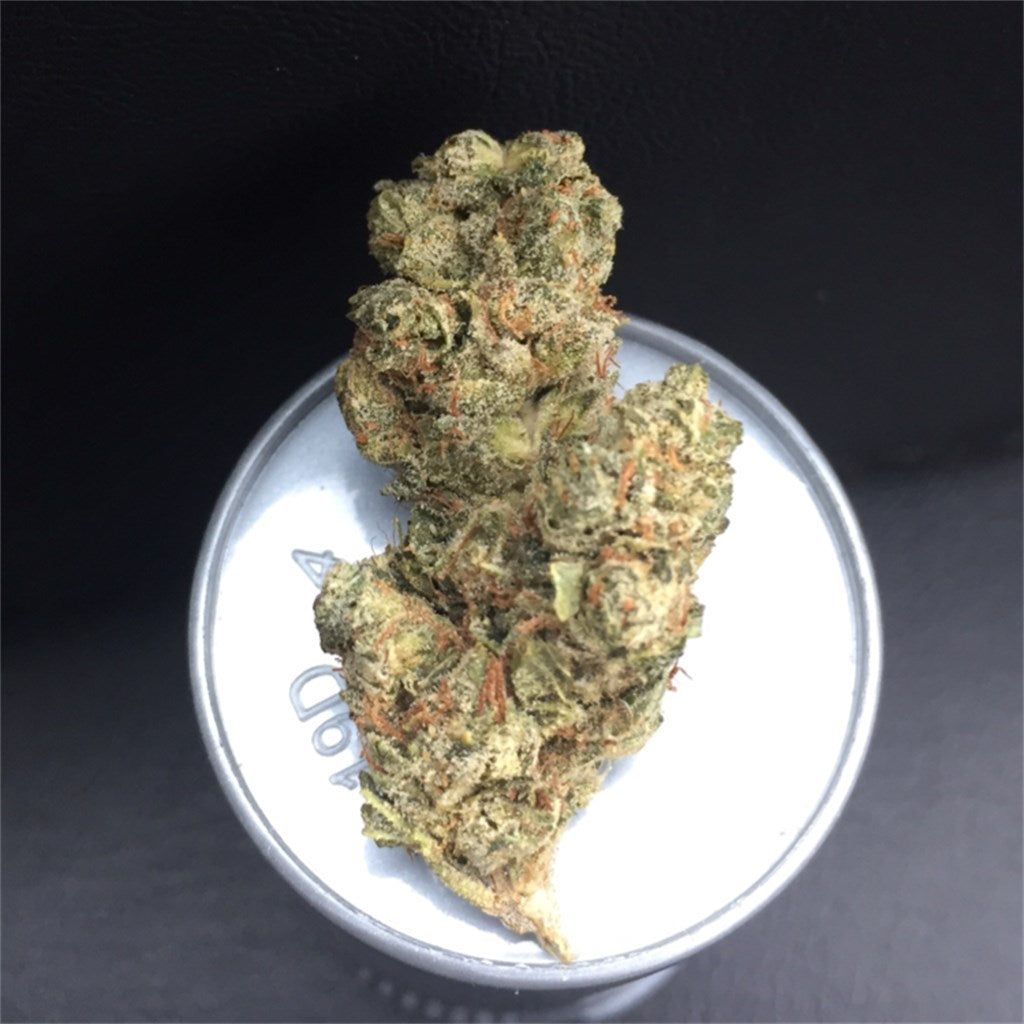 Russian Rocket Fuel marijuana strain flower with diesel and mint flavor and energetic / hungry effects - Rare Harvest hybrid