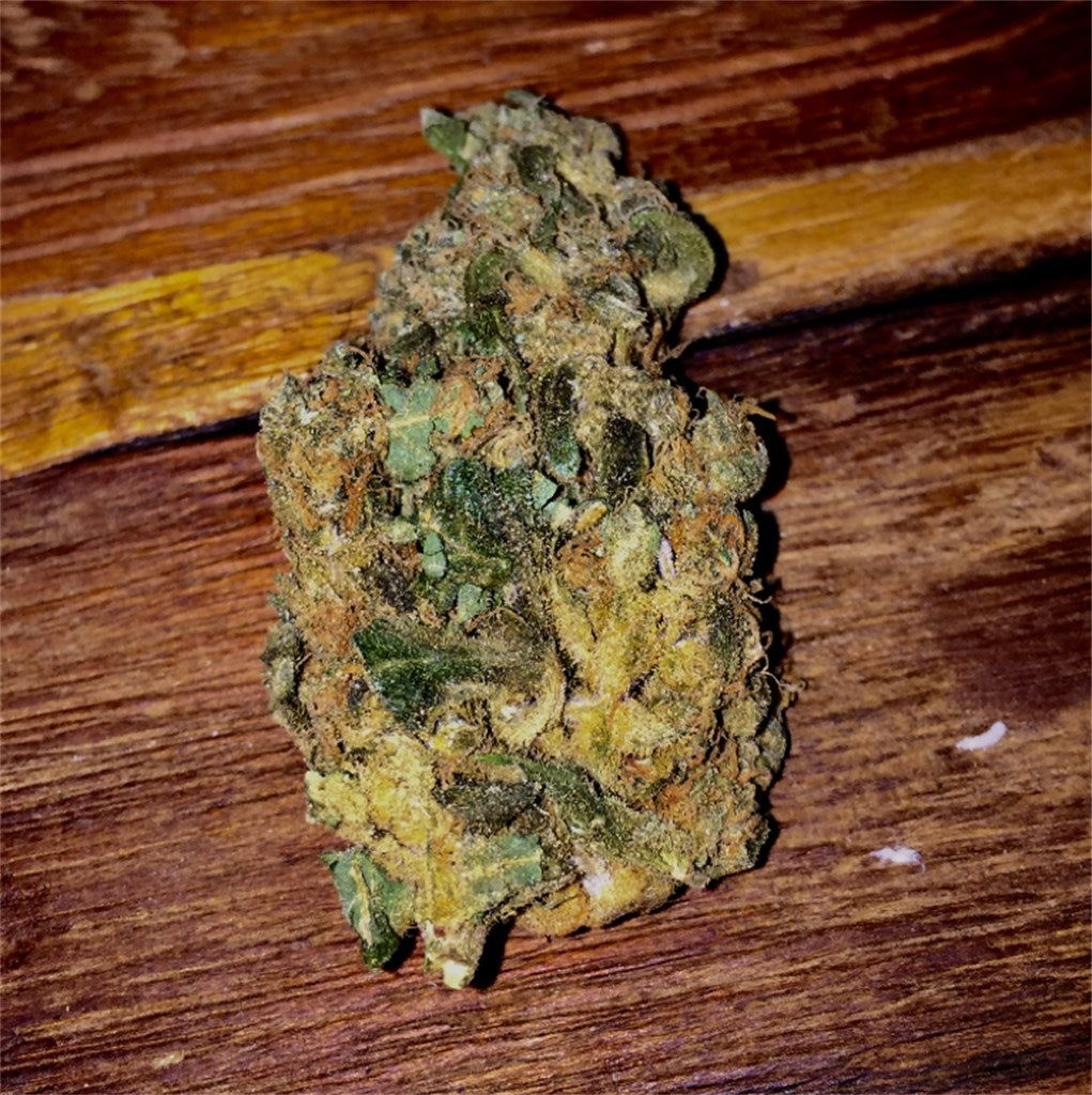 Santa Maria marijuana strain flower with flowery and sweet flavor and aroused / uplifted effects - Rare Harvest sativa
