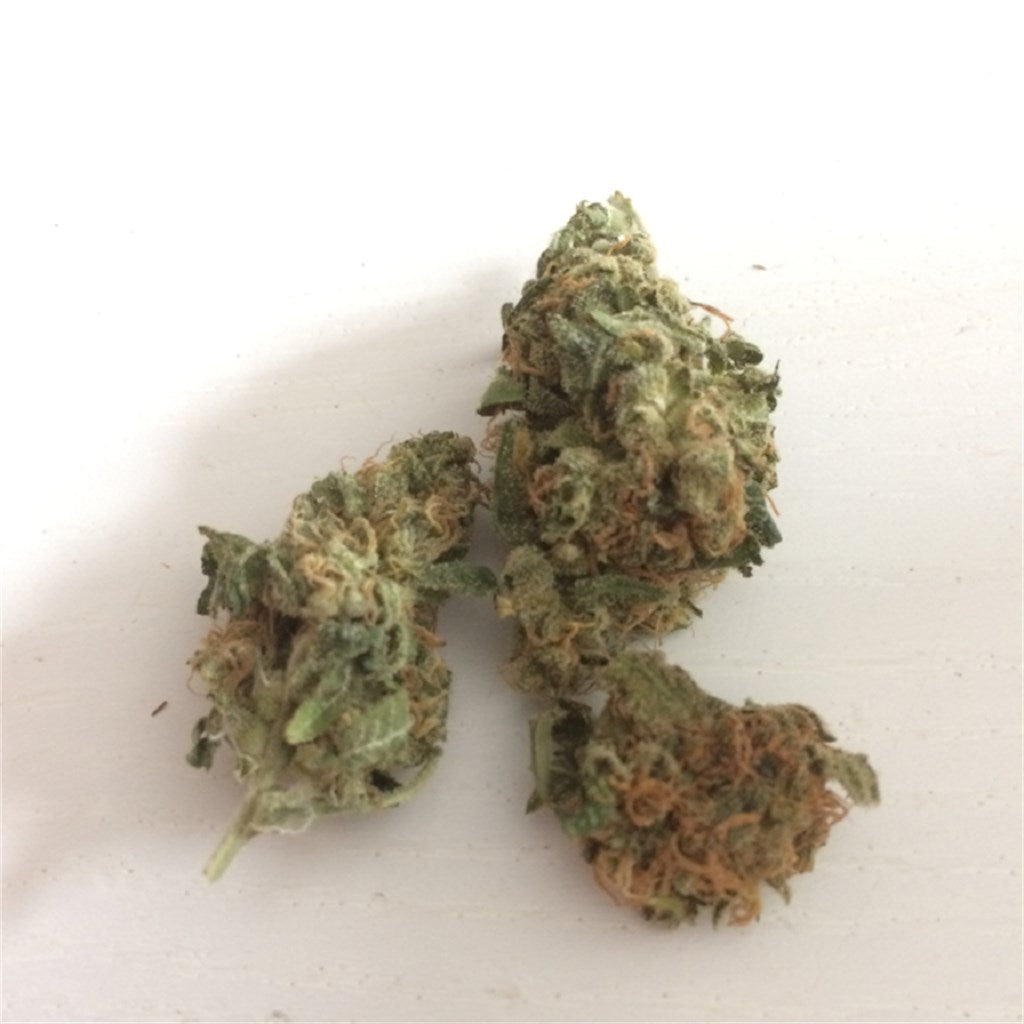 Santa Sativa marijuana strain flower with blueberry and diesel flavor and energetic / aroused effects - Rare Harvest sativa