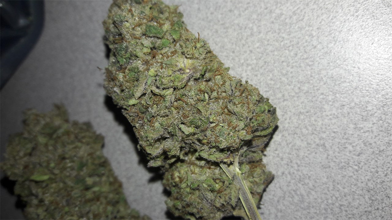 Sapphire Star marijuana strain flower with strawberry and berry flavor and energetic / focused effects - Rare Harvest hybrid