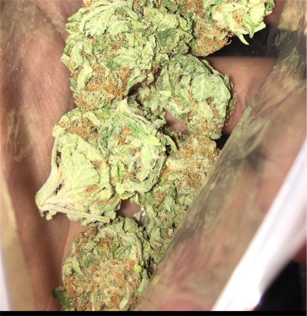 Sasquatch Sap marijuana strain flower with diesel and berry flavor and creative / energetic effects - Rare Harvest hybrid