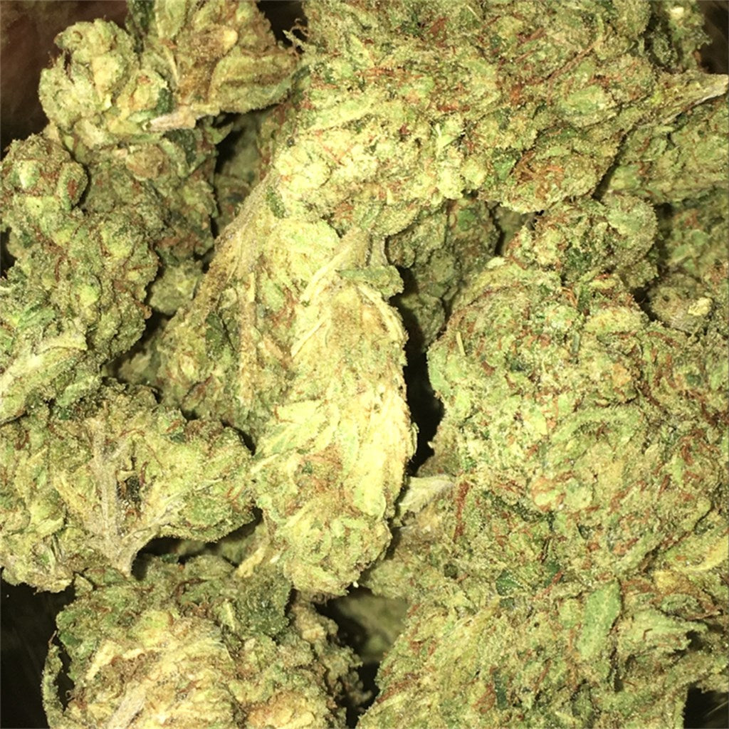 Satellite OG marijuana strain flower with pungent and pine flavor and tingly / relaxed effects - Rare Harvest indica