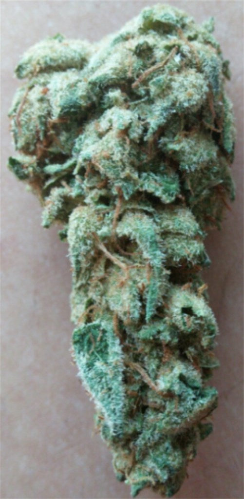 Saturn OG marijuana strain flower with citrus and pungent flavor and sleepy / relaxed effects - Rare Harvest hybrid