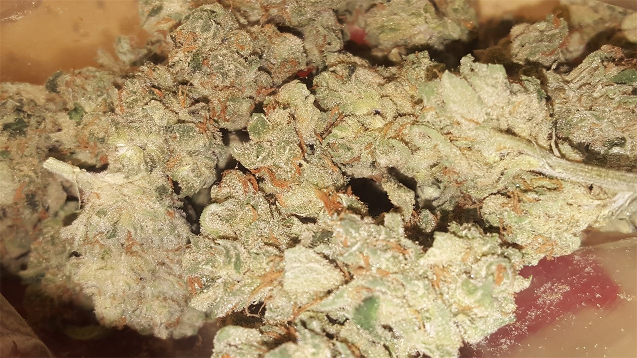 Schrom marijuana strain flower with lime and lemon flavor and energetic / uplifted effects - Rare Harvest sativa