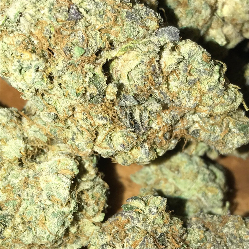 Scout's Honor marijuana strain flower with flowery and diesel flavor and relaxed / creative effects - Rare Harvest hybrid