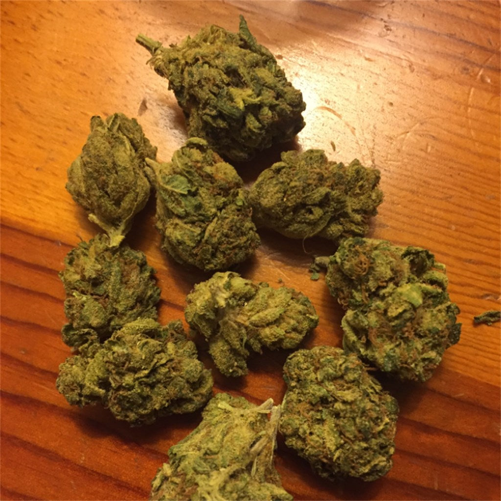 Sensi Star marijuana strain flower with earthy and tea flavor and sleepy / relaxed effects - Rare Harvest indica