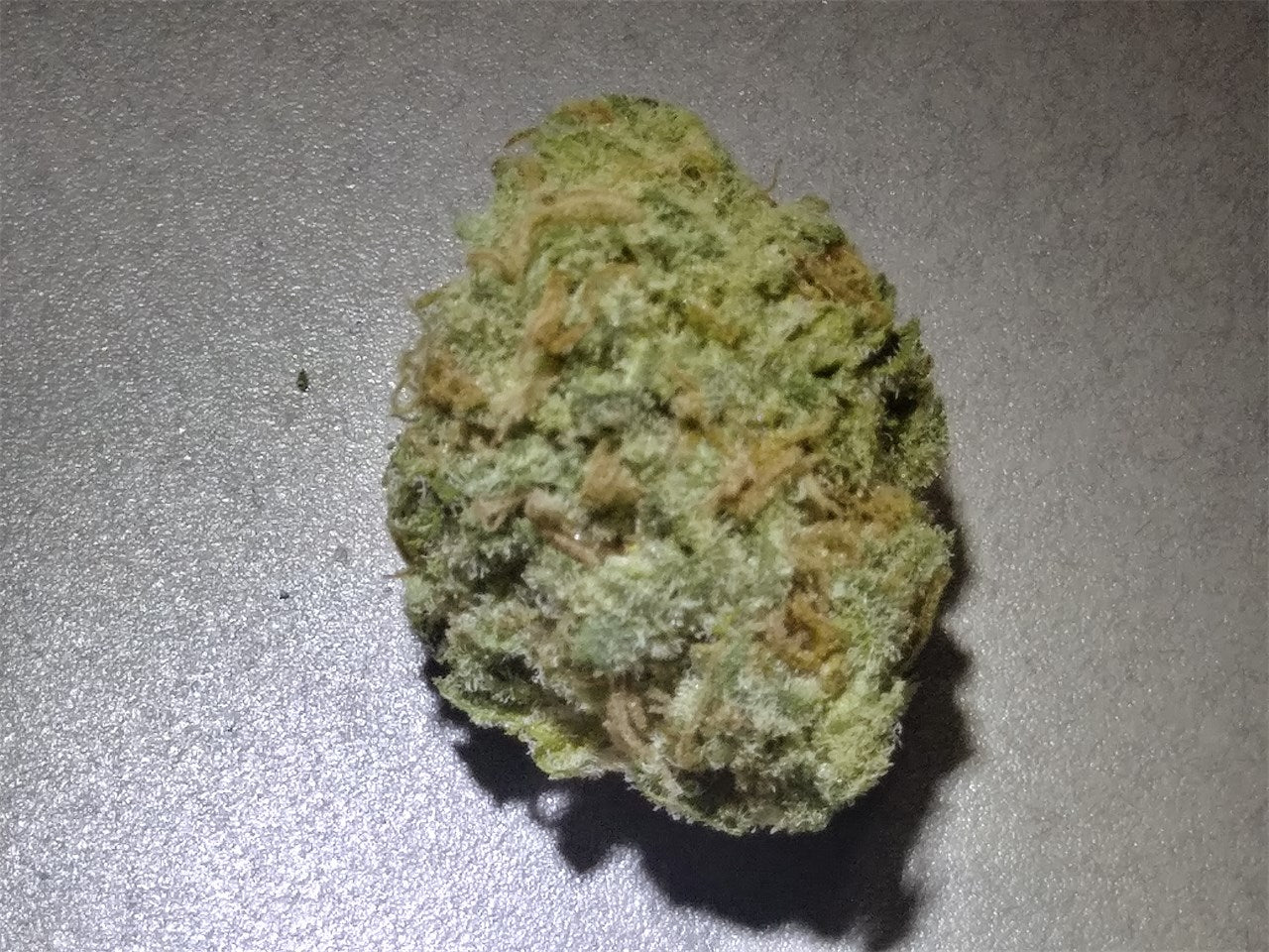 Serious Happiness marijuana strain flower with apricot and diesel flavor and happy / uplifted effects - Rare Harvest hybrid