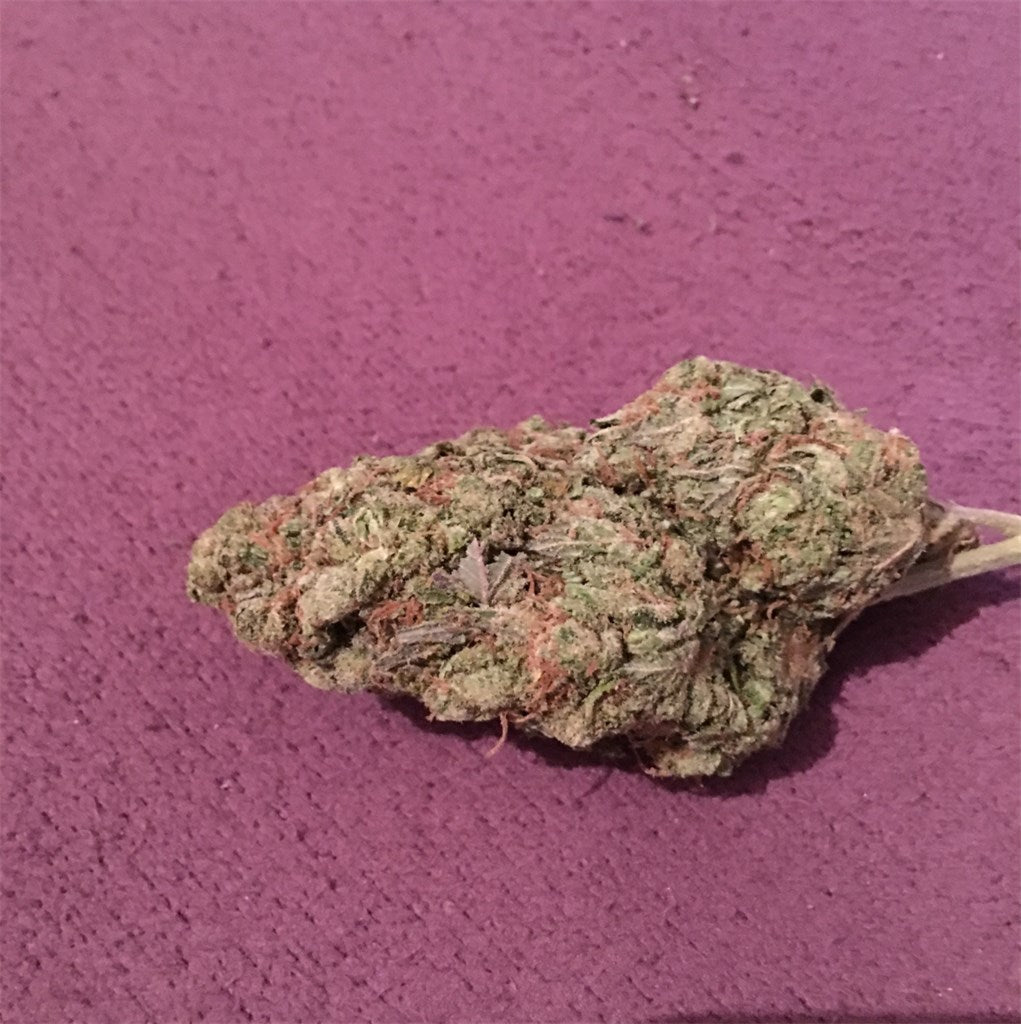 SFV OG Kush marijuana strain flower with lemon and pine flavor and sleepy / relaxed effects - Rare Harvest indica