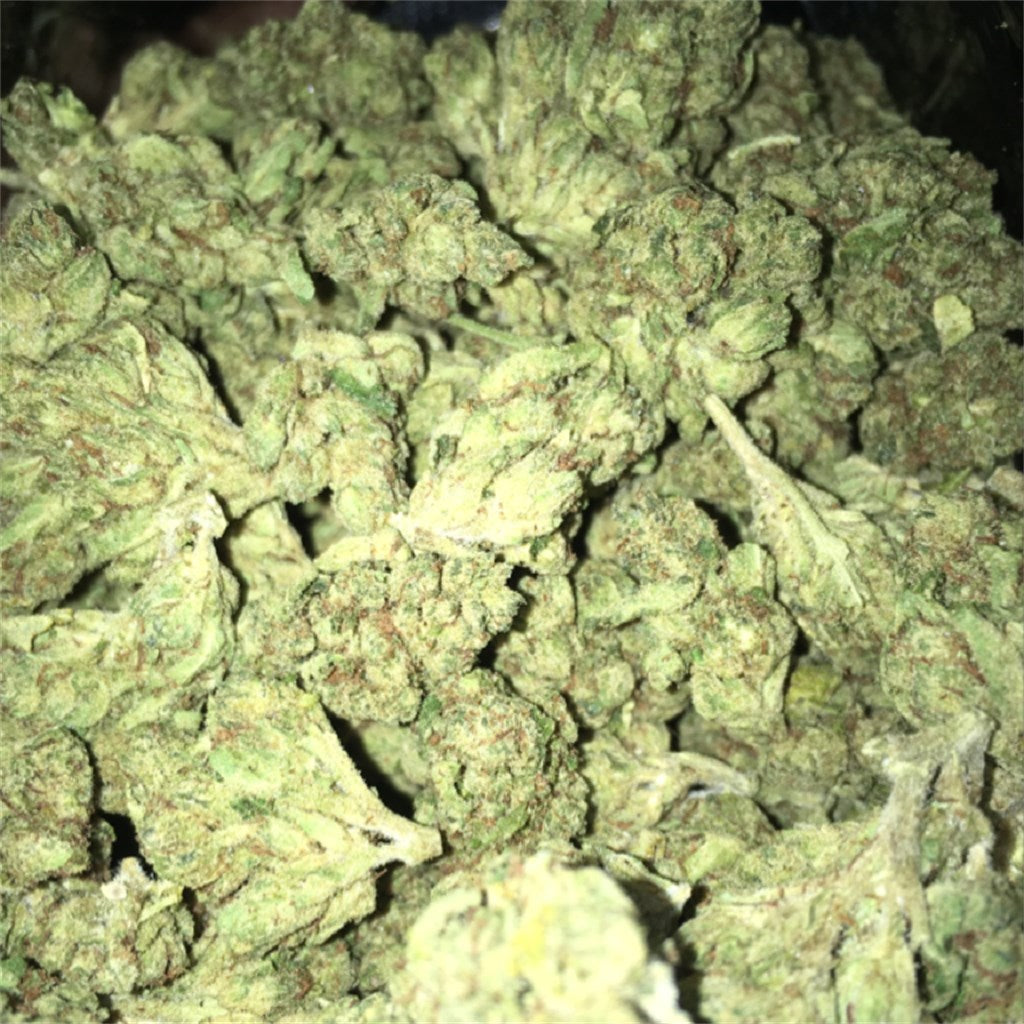 SFV OG marijuana strain flower with pine and earthy flavor and focused / relaxed effects - Rare Harvest hybrid