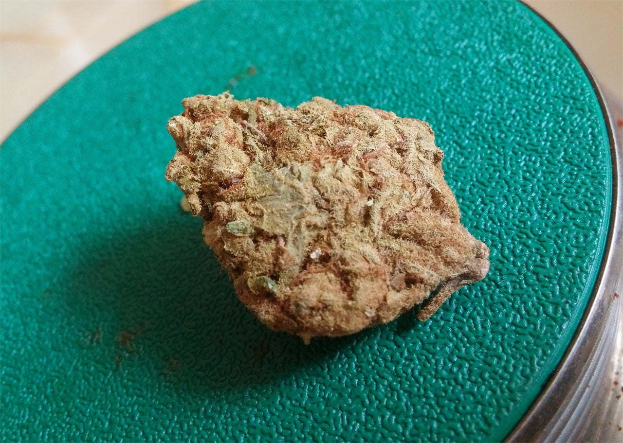 Shark Bite marijuana strain flower with tropical and pungent flavor and energetic / uplifted effects - Rare Harvest hybrid