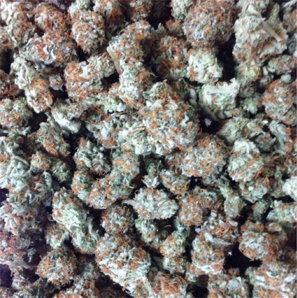 Shiva Skunk marijuana strain flower with skunk and pear flavor and sleepy / relaxed effects - Rare Harvest indica