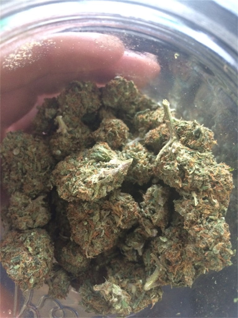 Sierra Mist marijuana strain flower with diesel and lemon flavor and euphoric / energetic effects - Rare Harvest hybrid