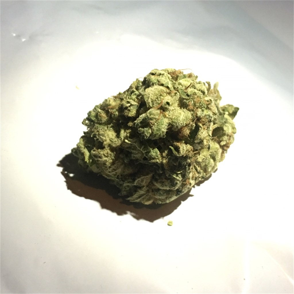 Silver Back marijuana strain flower with blueberry and diesel flavor and talkative / uplifted effects - Rare Harvest hybrid