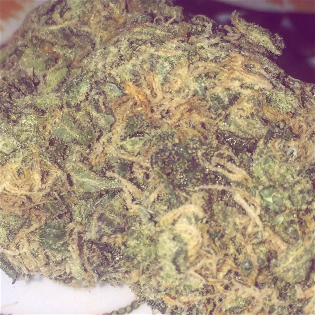 Silver Surfer marijuana strain flower with honey and apple flavor and energetic / talkative effects - Rare Harvest hybrid