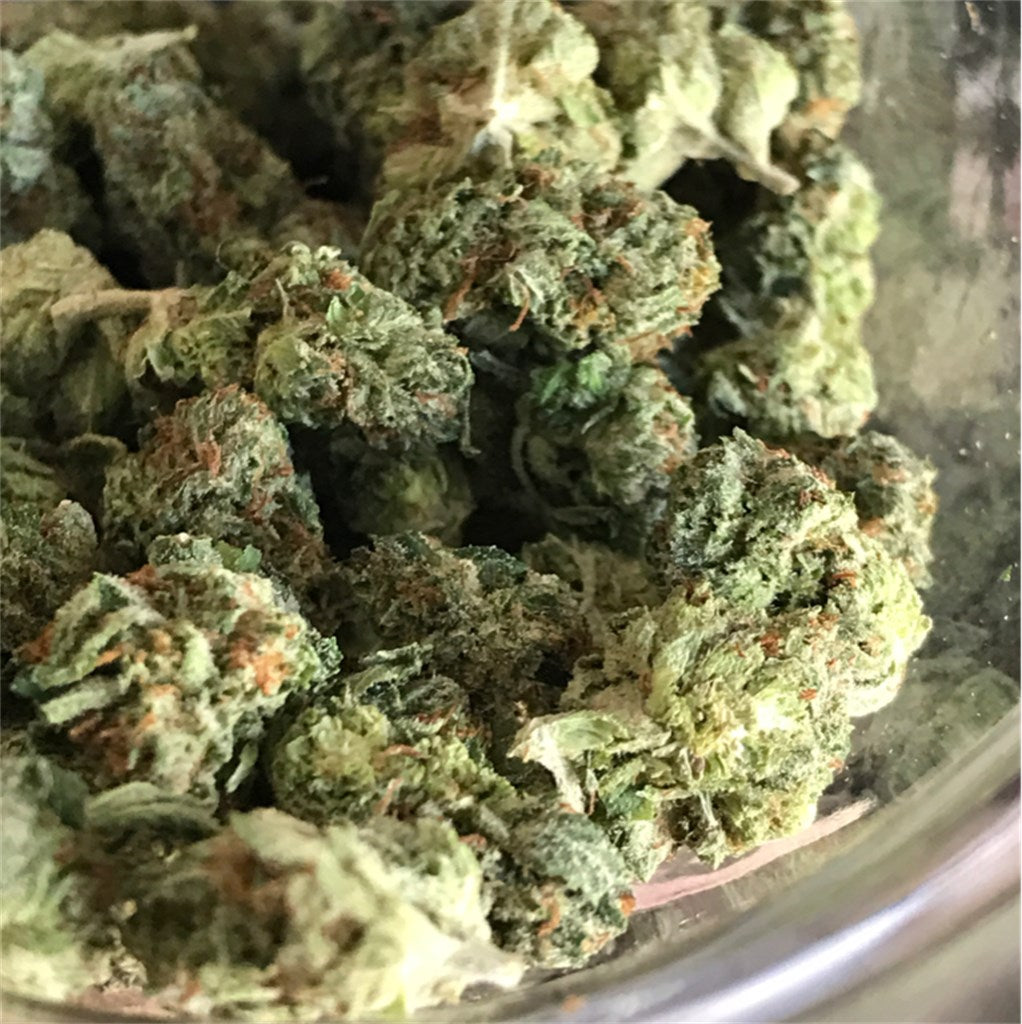 Silver Train marijuana strain flower with diesel and strawberry flavor and aroused / energetic effects - Rare Harvest sativa