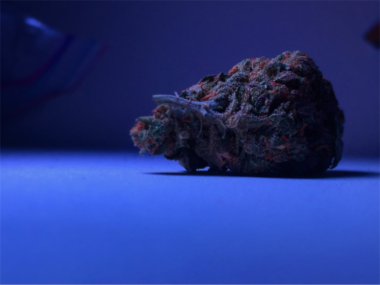 Silverhawks OG marijuana strain flower with diesel and citrus flavor and energetic / uplifted effects - Rare Harvest sativa