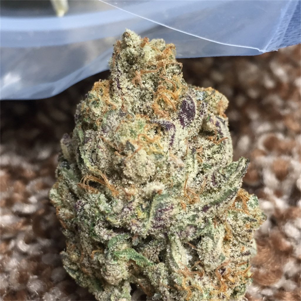 SinMint Cookies marijuana strain flower with mint and menthol flavor and relaxed / tingly effects - Rare Harvest hybrid