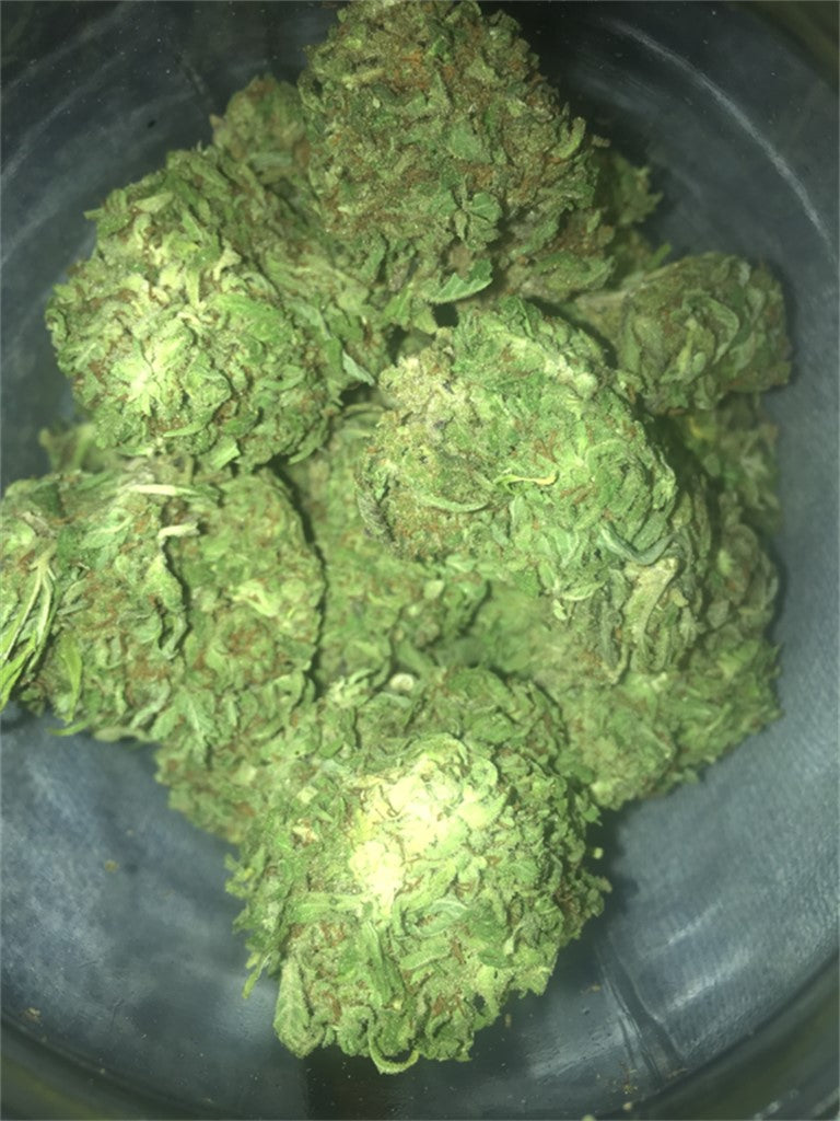 Skunk Dawg marijuana strain flower with skunk and diesel flavor and focused / talkative effects - Rare Harvest sativa