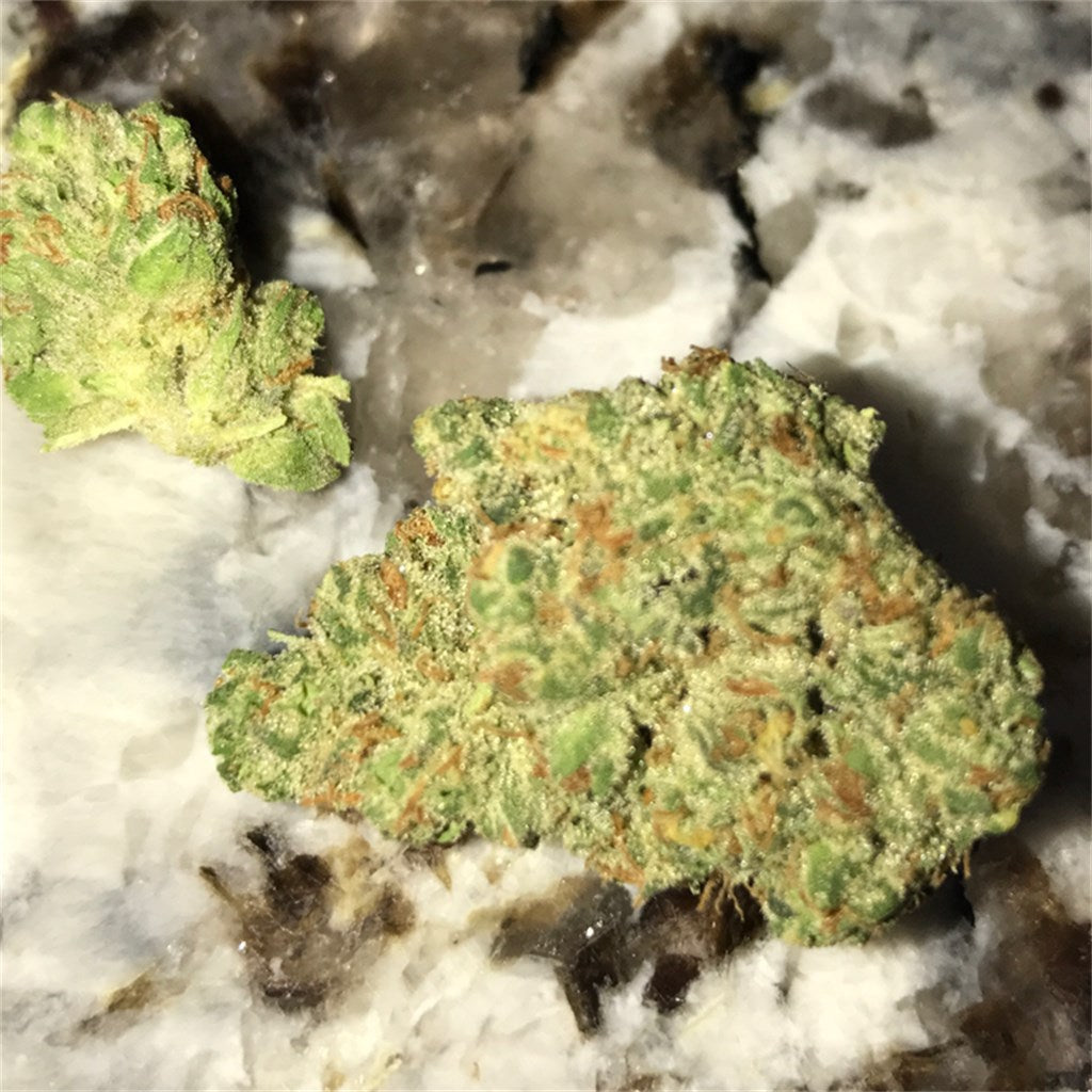 Skunkberry marijuana strain flower with skunk and berry flavor and relaxed / euphoric effects - Rare Harvest hybrid