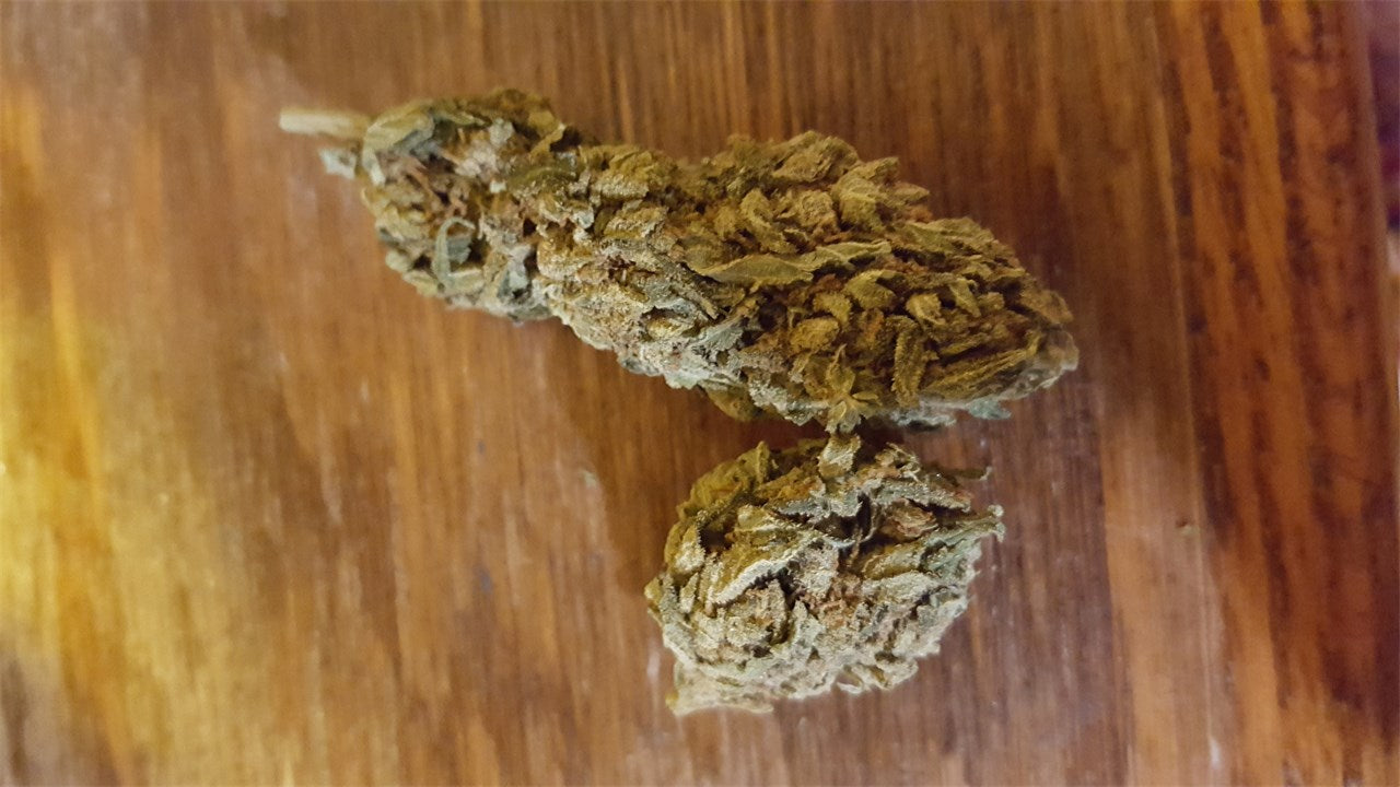 Skunky Diesel marijuana strain flower with skunk and diesel flavor and talkative / uplifted effects - Rare Harvest hybrid