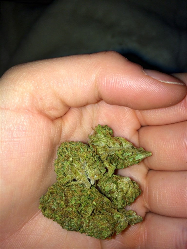 Skydog marijuana strain flower with diesel and lemon flavor and focused / uplifted effects - Rare Harvest indica