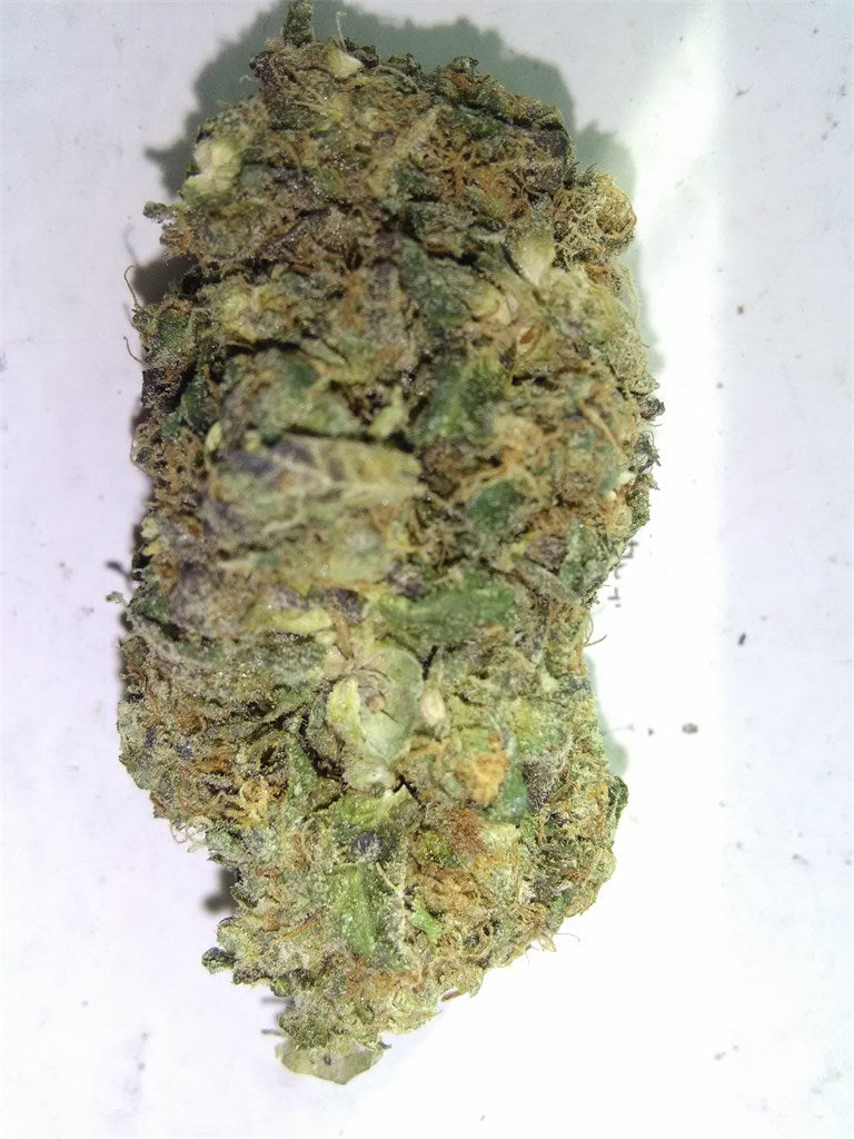 Skywalker Alien marijuana strain flower with tobacco and woody flavor and relaxed / euphoric effects - Rare Harvest hybrid