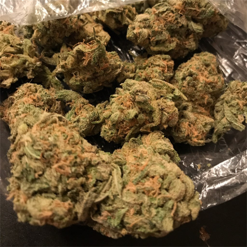 Snoop's Dream marijuana strain flower with pine and sweet flavor and relaxed / giggly effects - Rare Harvest hybrid