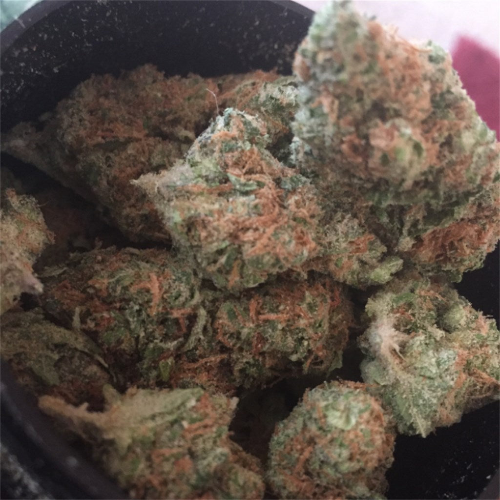 Snow Monster marijuana strain flower with earthy and blue cheese flavor and sleepy / relaxed effects - Rare Harvest indica
