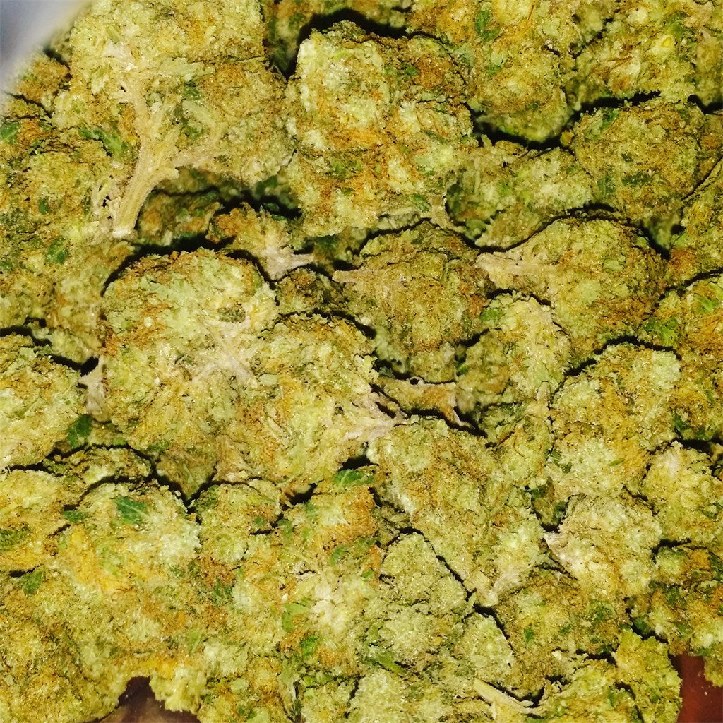 Snowcap marijuana strain flower with menthol and lemon flavor and energetic / creative effects - Rare Harvest hybrid