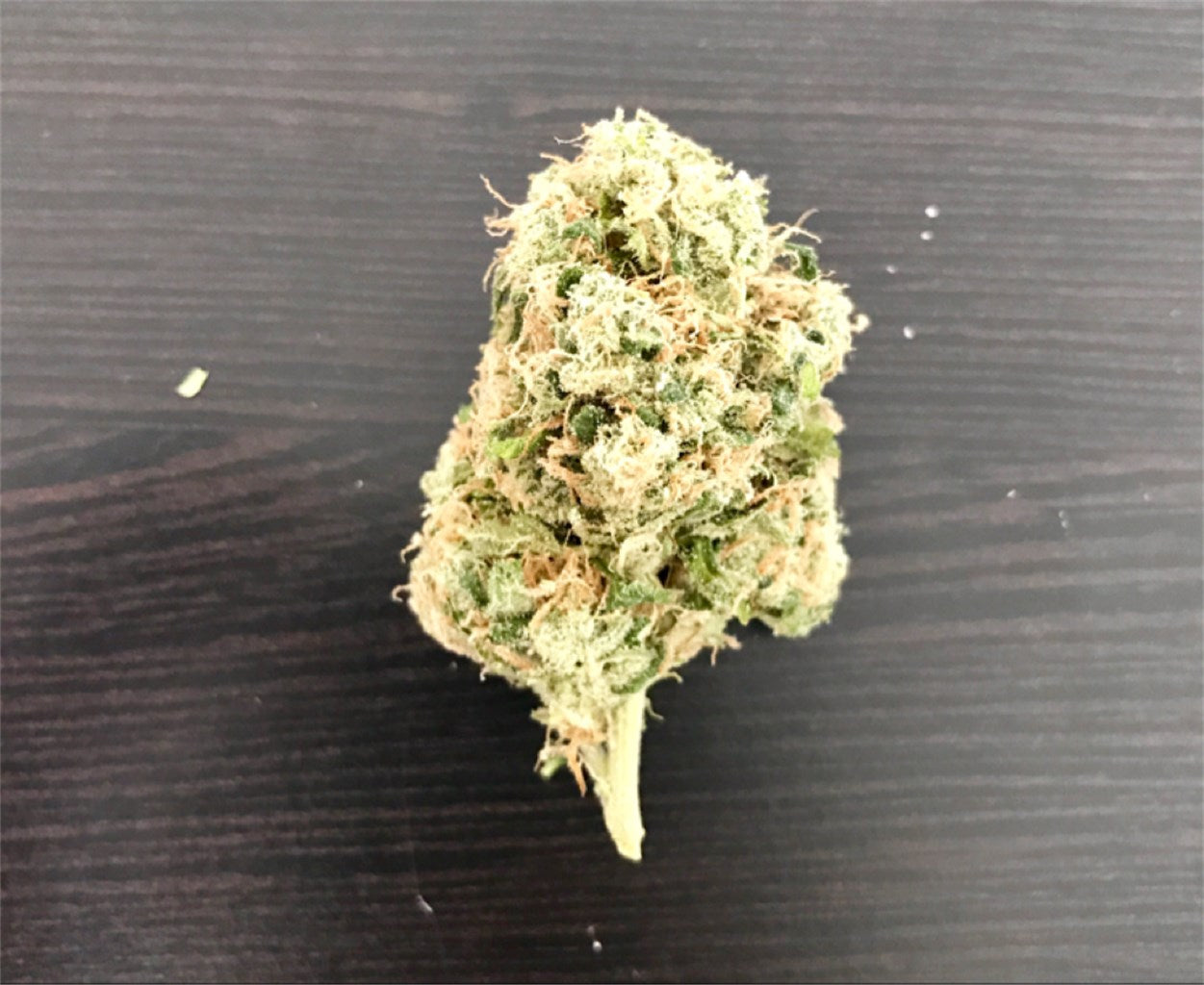 Sojay Haze marijuana strain flower with citrus and flowery flavor and focused / energetic effects - Rare Harvest sativa