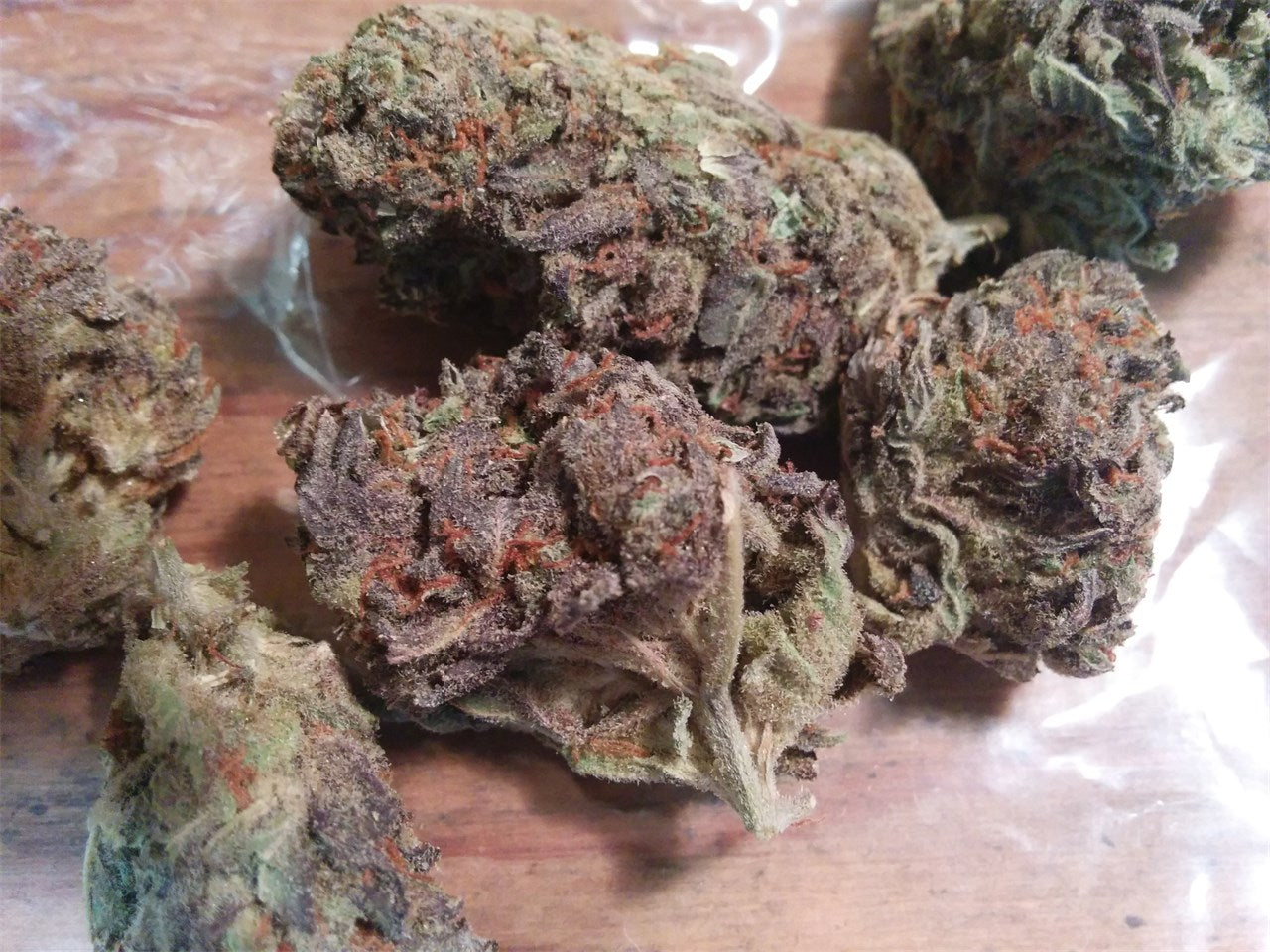 Sonic Screwdriver marijuana strain flower with orange and earthy flavor and giggly / energetic effects - Rare Harvest sativa