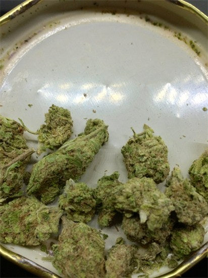 Soul Shine marijuana strain flower and euphoric / creative effects - Rare Harvest hybrid