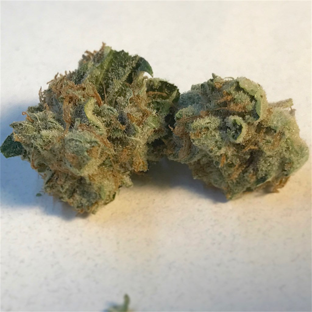 Sour Alien marijuana strain flower with pungent and diesel flavor and tingly / relaxed effects - Rare Harvest hybrid