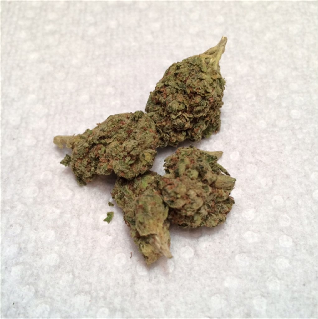 Sour Amnesia marijuana strain flower with diesel and citrus flavor and uplifted / creative effects - Rare Harvest sativa