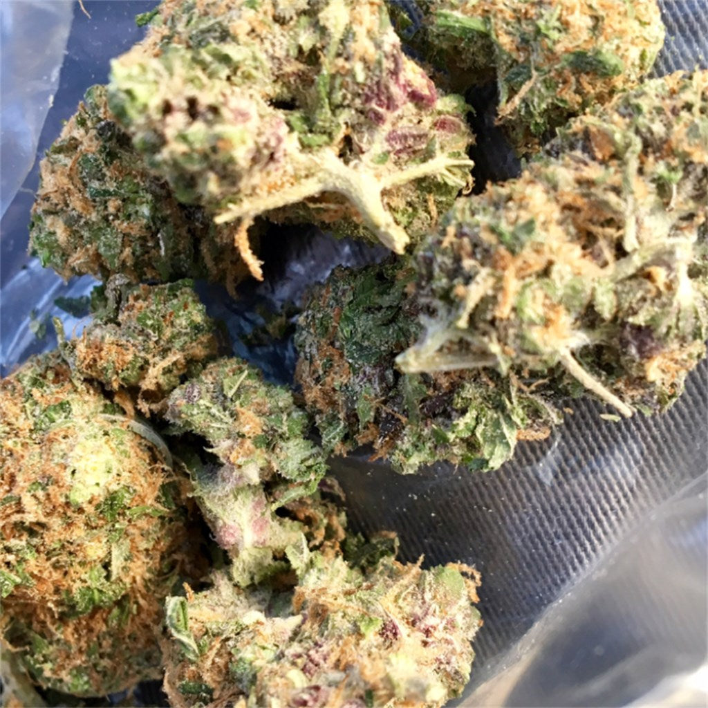 Sour Apple marijuana strain flower with apple and pear flavor and tingly / relaxed effects - Rare Harvest hybrid