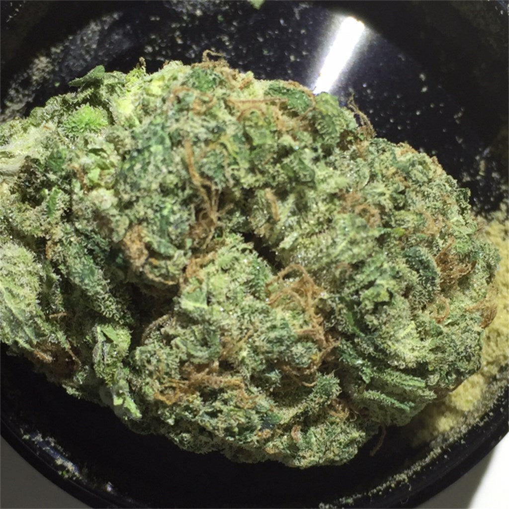 Sour Candy marijuana strain flower with diesel and tropical flavor and talkative / uplifted effects - Rare Harvest hybrid