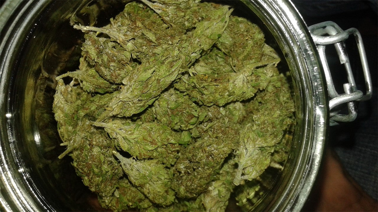 Sour Chocolate marijuana strain flower with diesel and coffee flavor and energetic / uplifted effects - Rare Harvest sativa