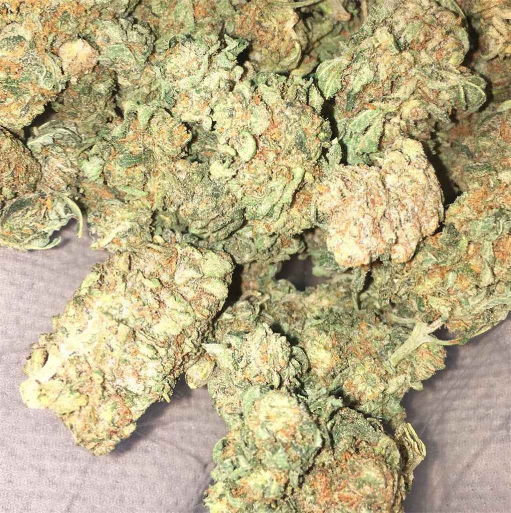 Sour Cookies marijuana strain flower with diesel and nutty flavor and talkative / aroused effects - Rare Harvest hybrid