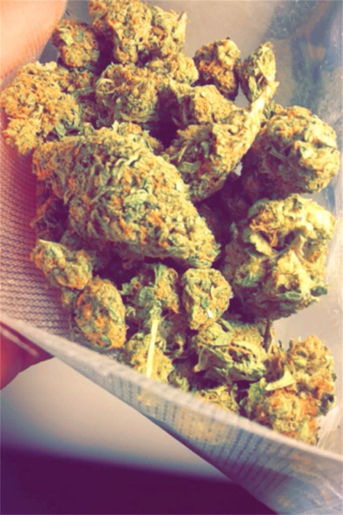 Sour Haze marijuana strain flower with citrus and diesel flavor and focused / energetic effects - Rare Harvest sativa