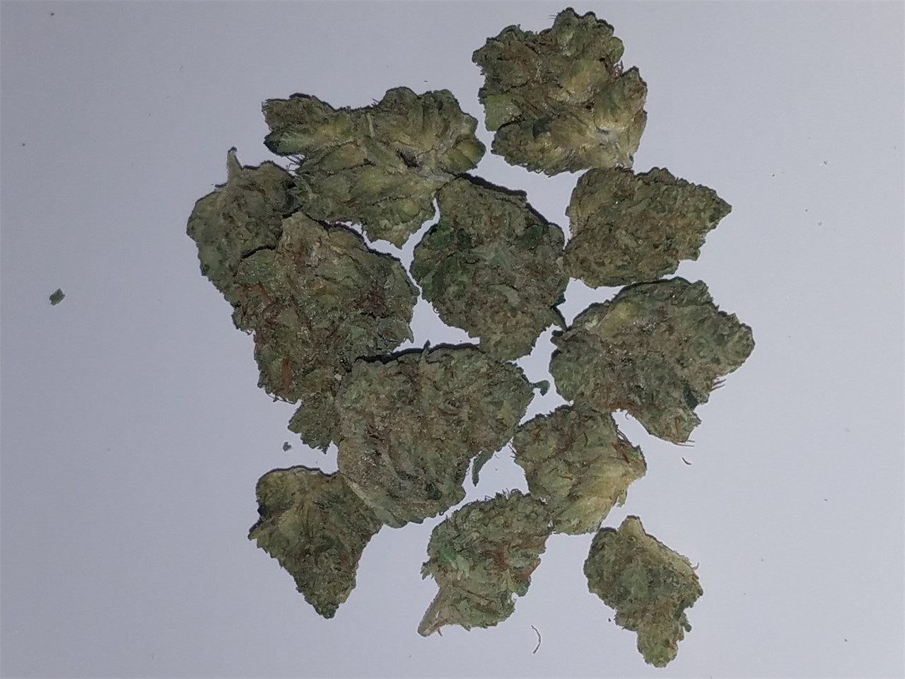Sour Joker marijuana strain flower with diesel and flowery flavor and energetic / focused effects - Rare Harvest sativa