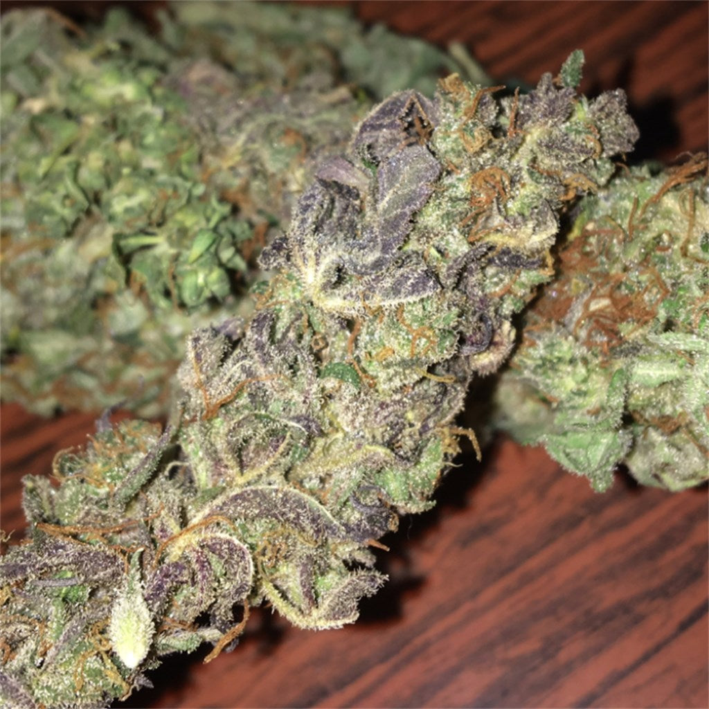 Sour Kush marijuana strain flower with pungent and diesel flavor and relaxed / uplifted effects - Rare Harvest hybrid