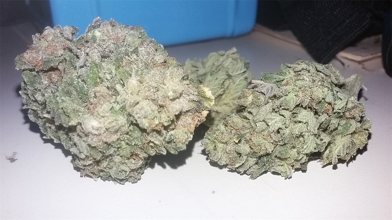 Sour Lemon marijuana strain flower with lemon and citrus flavor and creative / energetic effects - Rare Harvest hybrid